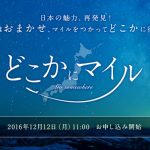 【IT×航空産業】JALがマイル特典でミステリー航空券の提供を開始